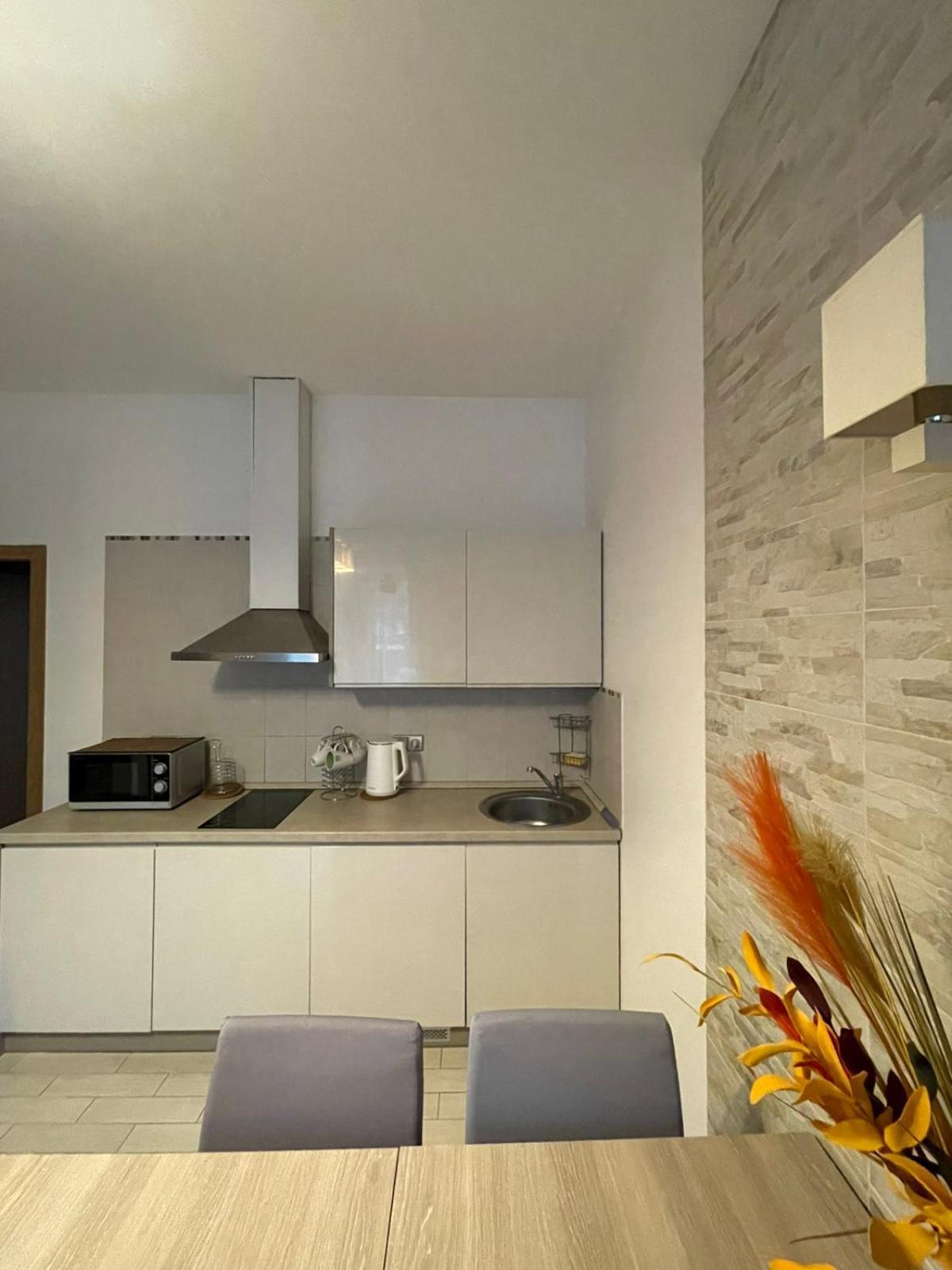Taikos Apartmentai 2 Druskininkai Ngoại thất bức ảnh